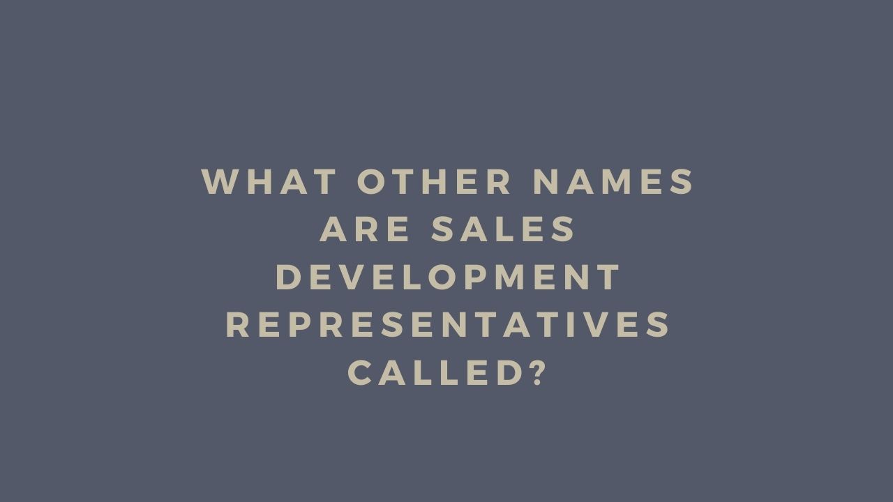 Read more about the article Other Names For Sales Development Representatives