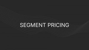 segment pricing