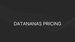 Datananas Pricing