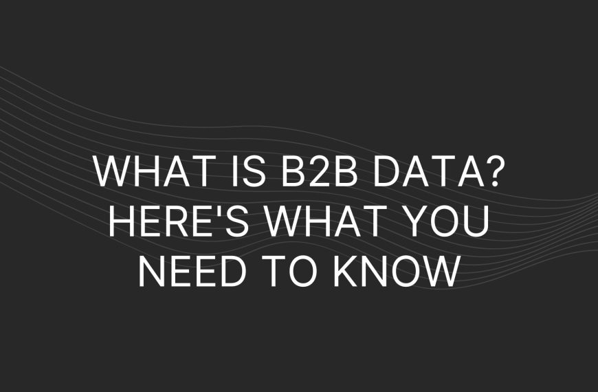What is b2b data