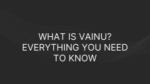 what is Vainu