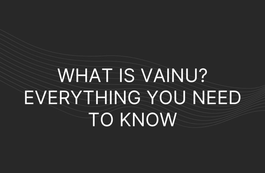 what is Vainu
