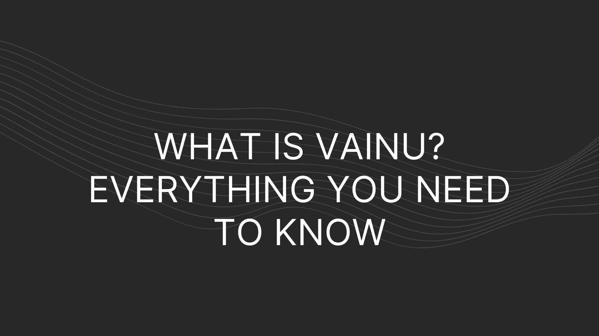 what is Vainu