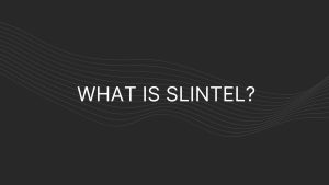 What Is Slintel