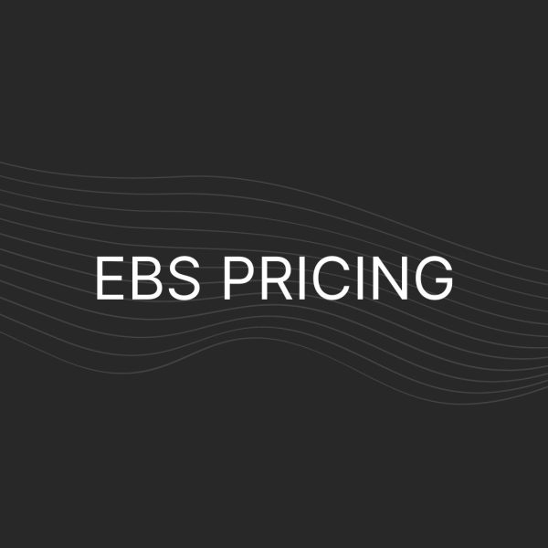 EBS Pricing – Actual Prices For All Plans, Enterprise Too