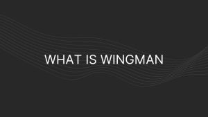 what is wingman