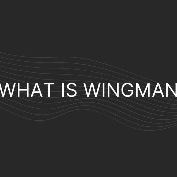 What is Wingman – Everything You Need To Know