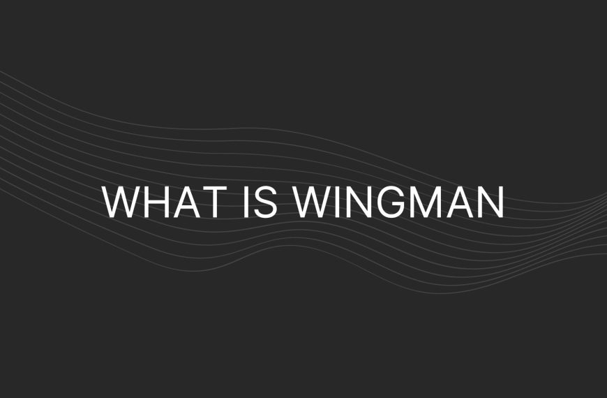 What is Wingman – Everything You Need To Know