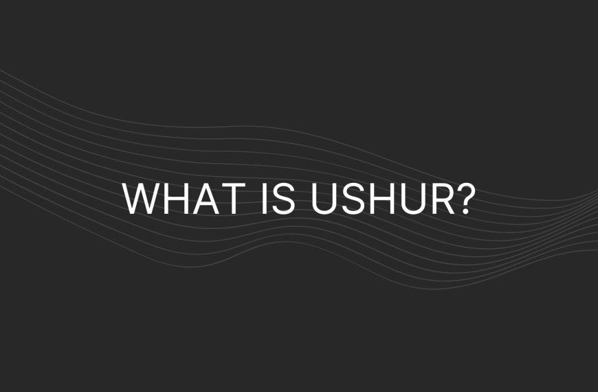 What is Ushur – Everything You Need To Know