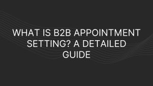 What is B2B Appointment Setting?