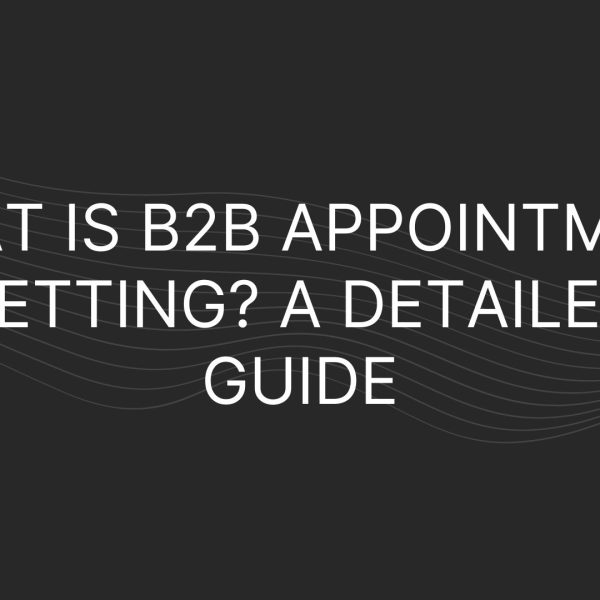 What is B2B Appointment Setting?