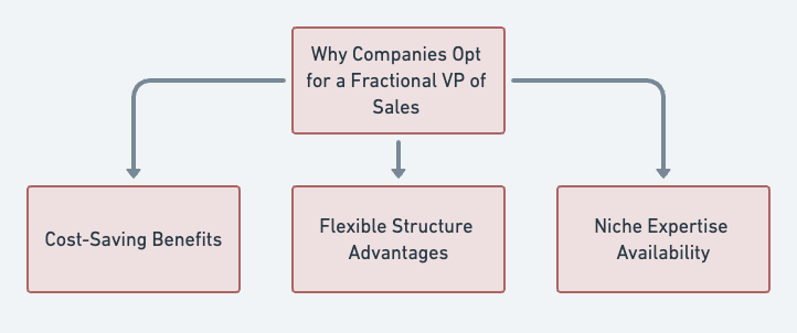fractional vp of sales benefits