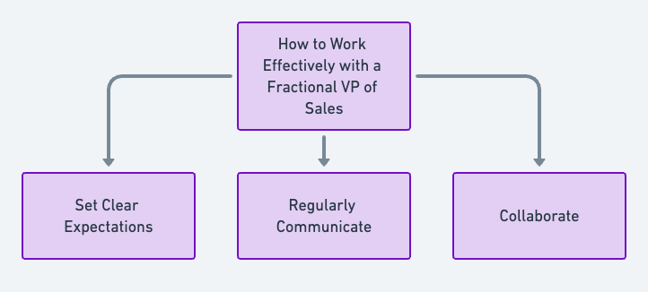how to work with a fractional vp of sales