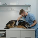 Veterinary Sales Recruiter