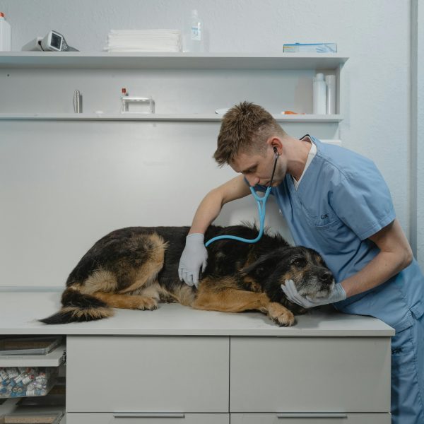 Veterinary Sales Recruiter