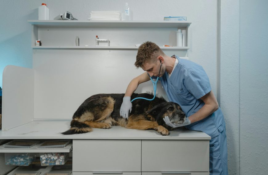 Veterinary Sales Recruiter